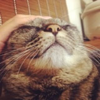 _____15jnk