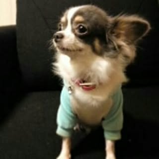 HAZU