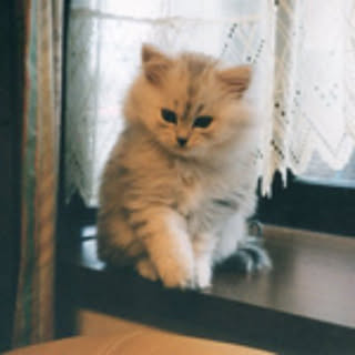 HungryBaby