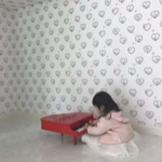 tomoccohome