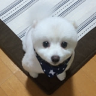 miki