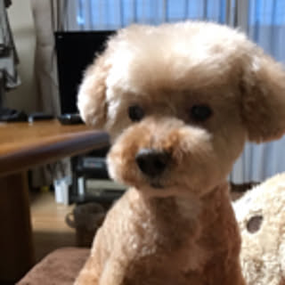 aki