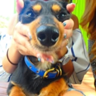 suzuchin