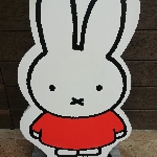 maimaimaiko
