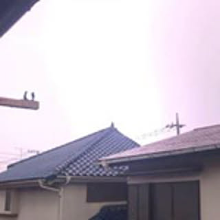 Ikki