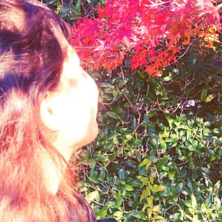 march_honey