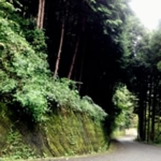Masami