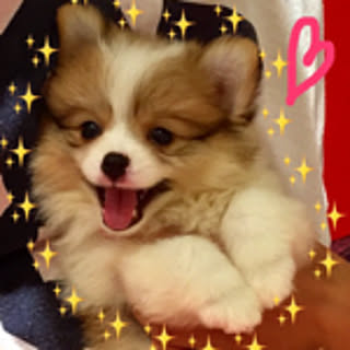 yukipooh