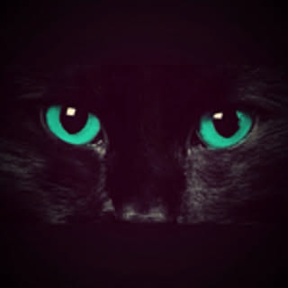 nyabu_panda