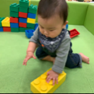 miho