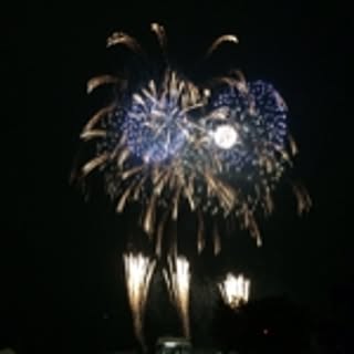 mango._.magic