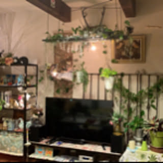 hana