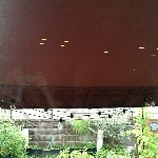 uchiko