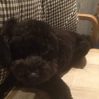 kuro