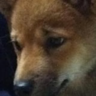 Yoshie