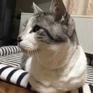 nya