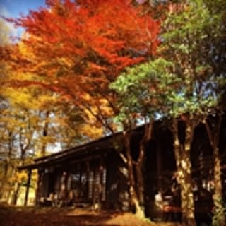 casadearbol
