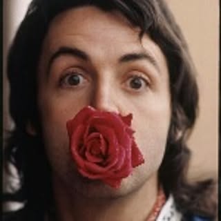 beatle