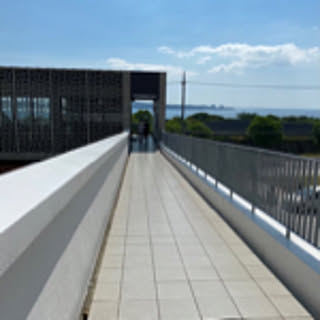 mikiyu