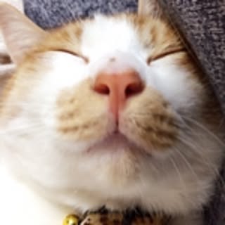 ten