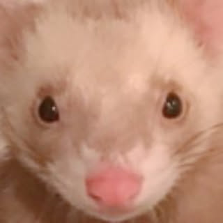 TT_TT