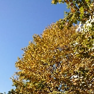 na.
