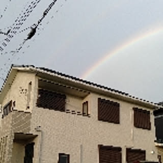 yu_haya