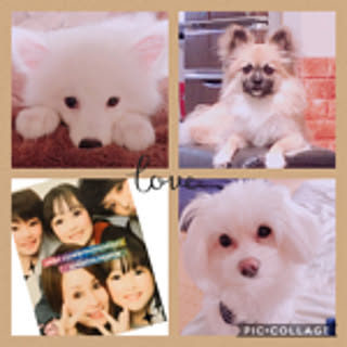 yuko