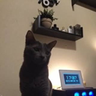 HIRO