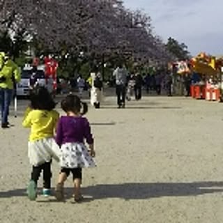 a.y0511