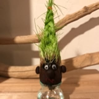 Yoshi