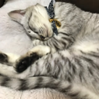 tukune