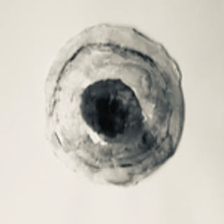 tani-0