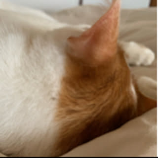 su