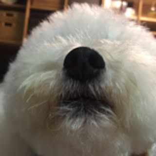 Katsumi