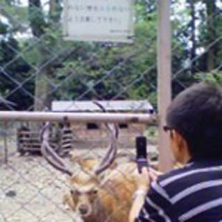 mayumi