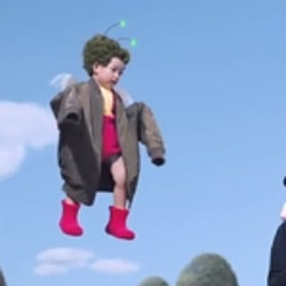 nicopurin