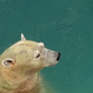 hanahana