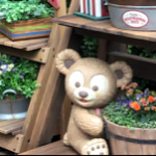 poohs.hunny.hunt