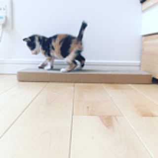 mizu