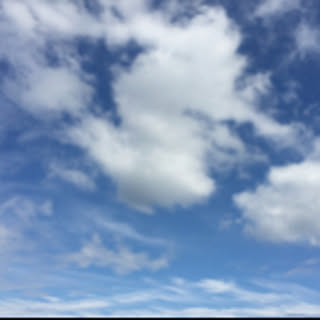 pon