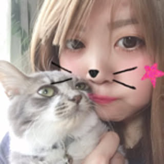 SHINO