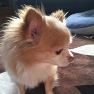 yuko