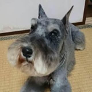 mos