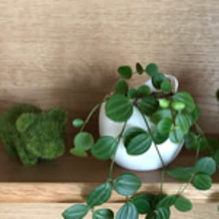 mi-ta