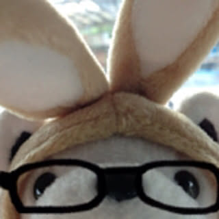 takeneko