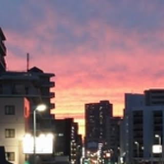 Kinaco