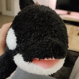 yoshiki