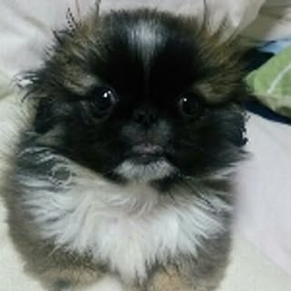 waniko