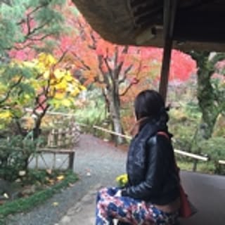 yuu